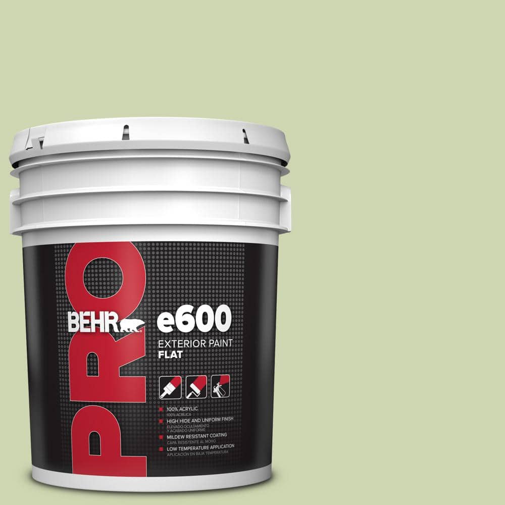 5 gal. #M360-3 Avocado Whip Flat Exterior Paint price history on PriceWatchPro