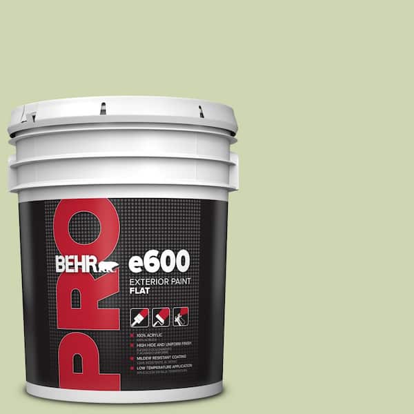 BEHR PRO 5 gal. #M360-3 Avocado Whip Flat Exterior Paint