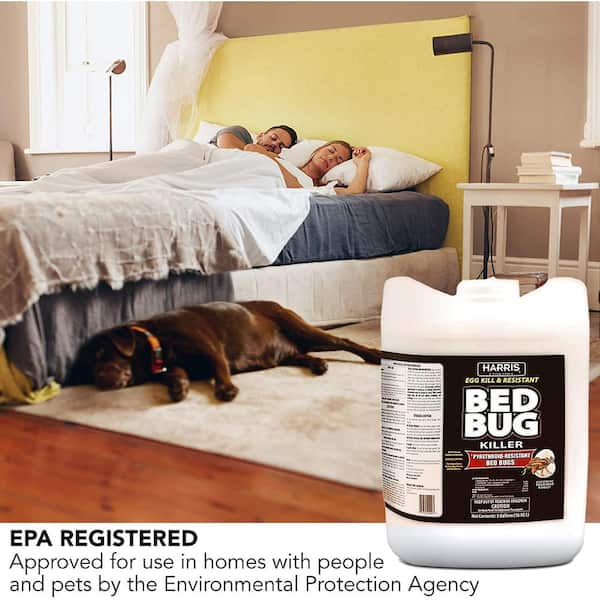 Hot Shot Accushot Sprayer 128-fl oz Bed Bug Killer | HG-96518