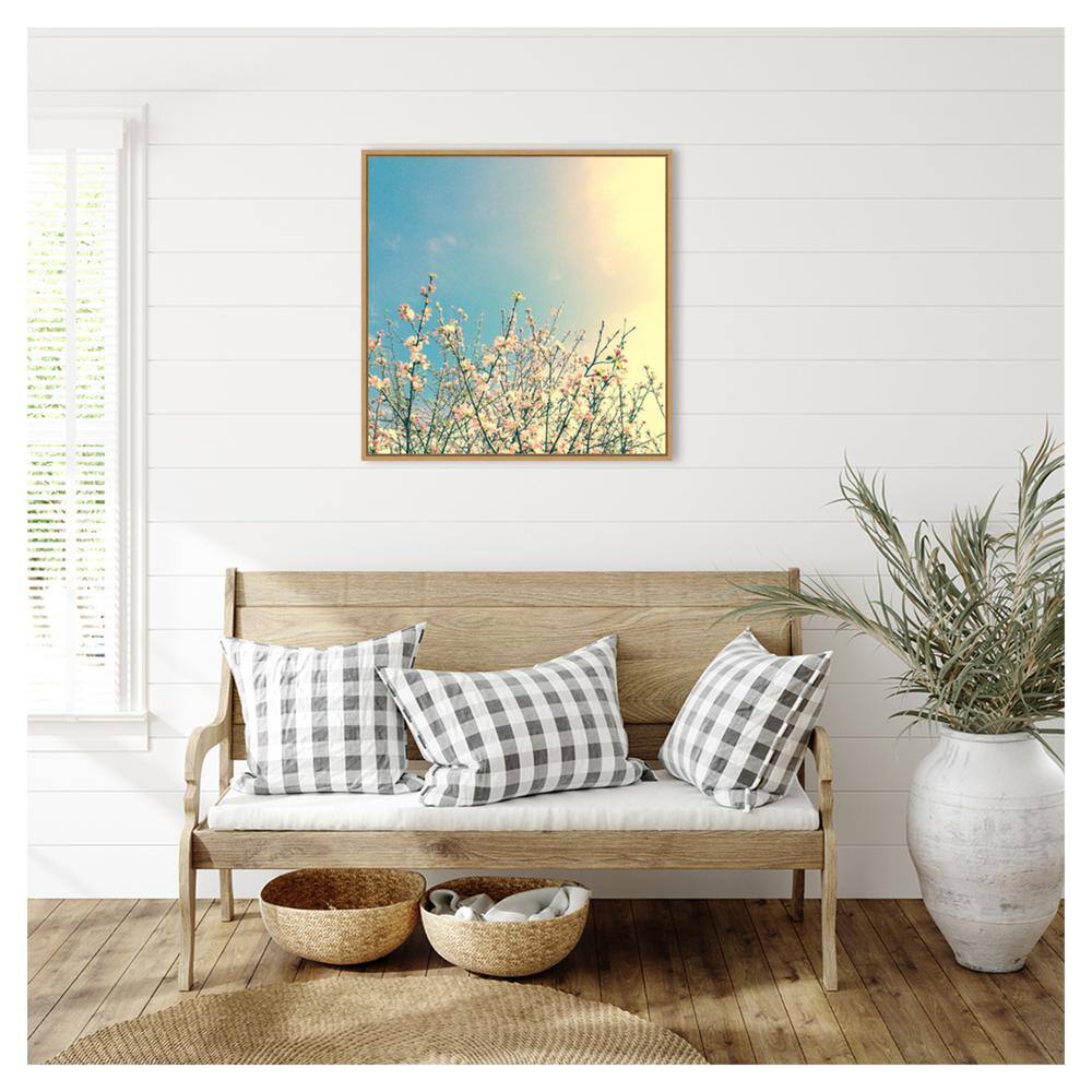 Springing Pink I Contemporary Canvas Print with Maple Floater Frame