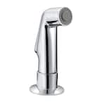 Basic Kitchen Side Sprayer with Guide in Polished Chrome