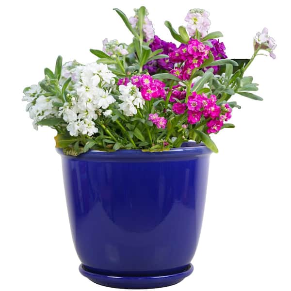 Vigoro 14 in. Delphine Blue Glazed Plastic Planter (14 in. D x 12