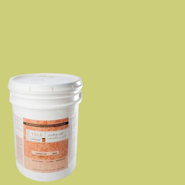 YOLO Colorhouse 5-gal. Thrive .02 Flat Interior Paint-DISCONTINUED