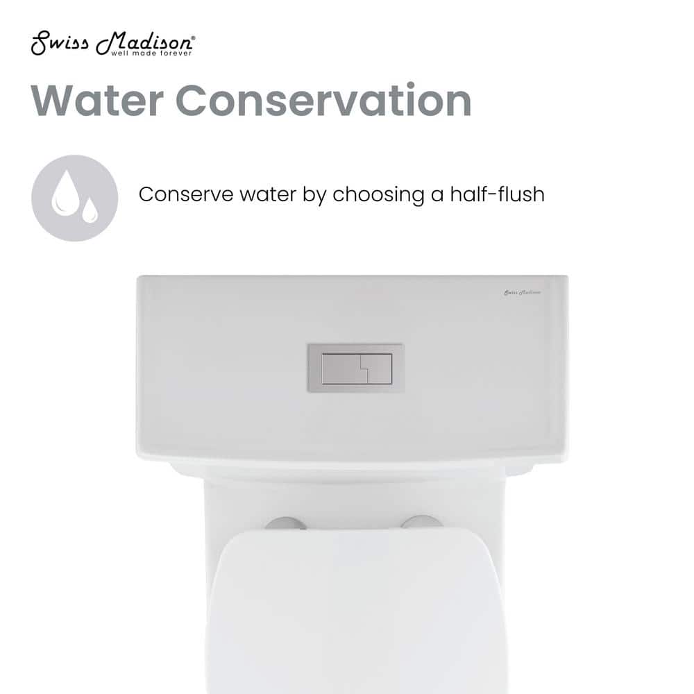 Voltaire White Ceramic One-Piece Elongated Dual Flush Toilet