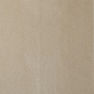 2x2 in. Beige Chenille Fabric Swatch Sample