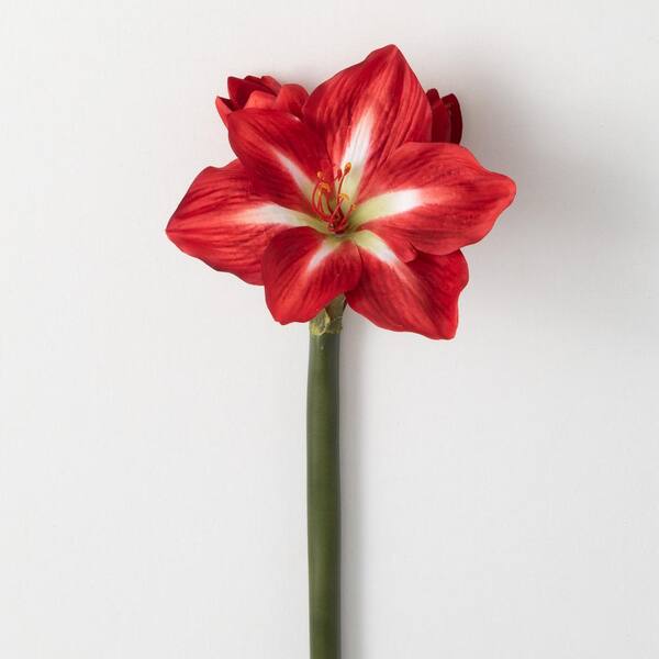 Sullivans 23 5 In H Artificial Christmas Amaryllis Stem Red Dl4210