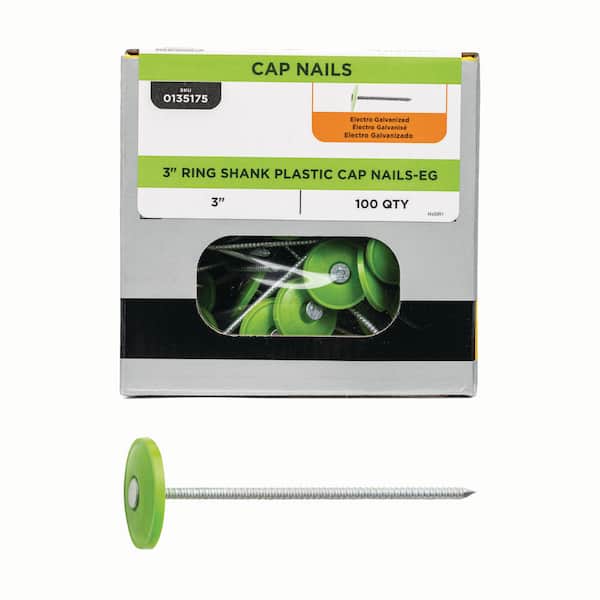 3 in. x 12-Gauge Electrogalvanized Ring Shank Plastic Cap Roofing Nail (100-Pack)