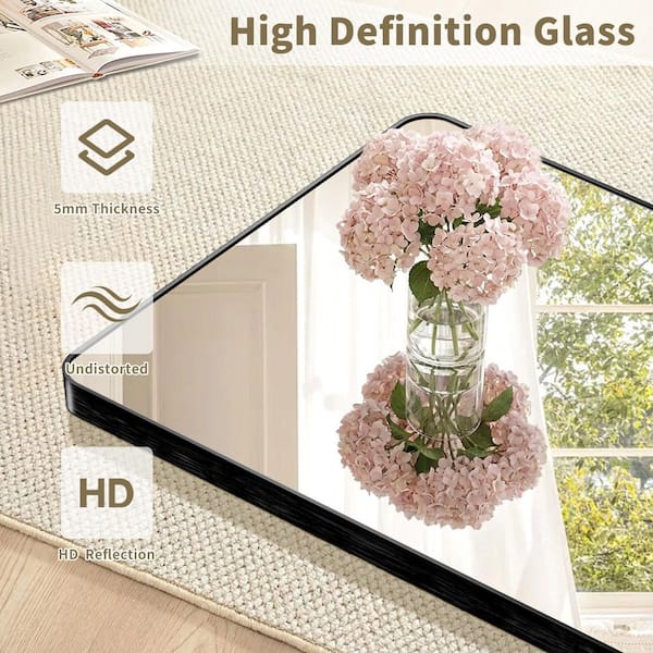 20 in. W x 30.1 in. H Modern Rectangular Aluminum Frame Black Wall Mirror (Screws Included)