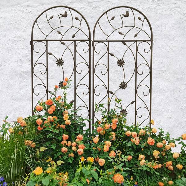 Unbranded 2 Pack 86.7 in. Iron Trellis for Climbing Plants Outdoor Flower  Support Brown HG-03