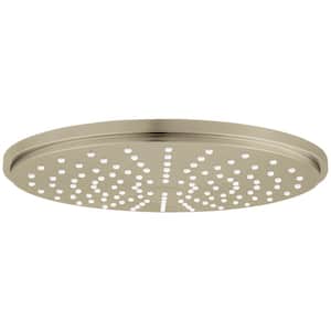 Rainshower Cosmopolitan 1-Spray Pattern with 1.75 GPM 8 in. Wall Mount Rain Fixed Shower Head in Brushed Nickel