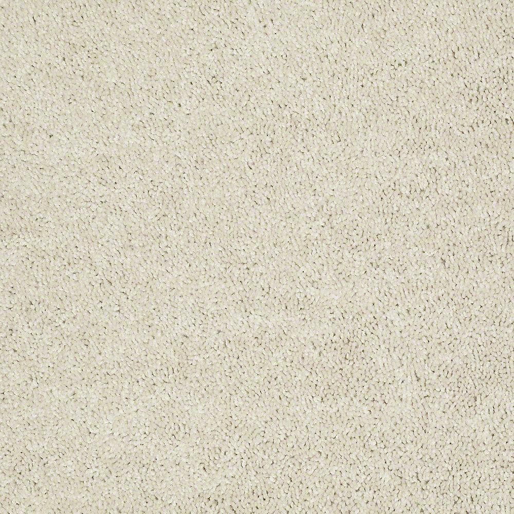 8 in. x 8 in. Texture Carpet Sample - Alpine - Color Grace price history on PriceWatchPro