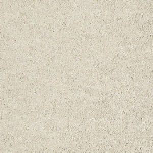8 in. x 8 in. Texture Carpet Sample - Alpine - Color Grace