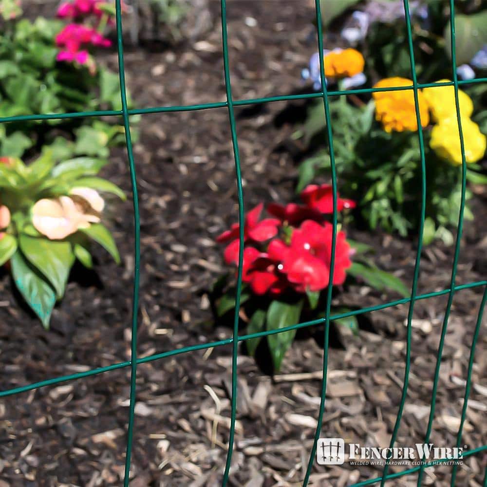 Green Vinyl Coated Welded Metal Garden Fence Wire Roll, 4 ft x 50 ft