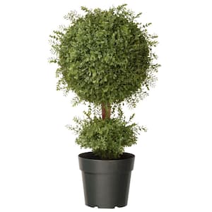 30 in. Artificial Mini Tea Leaf 1 Ball Topiary in Green Round Growers Pot