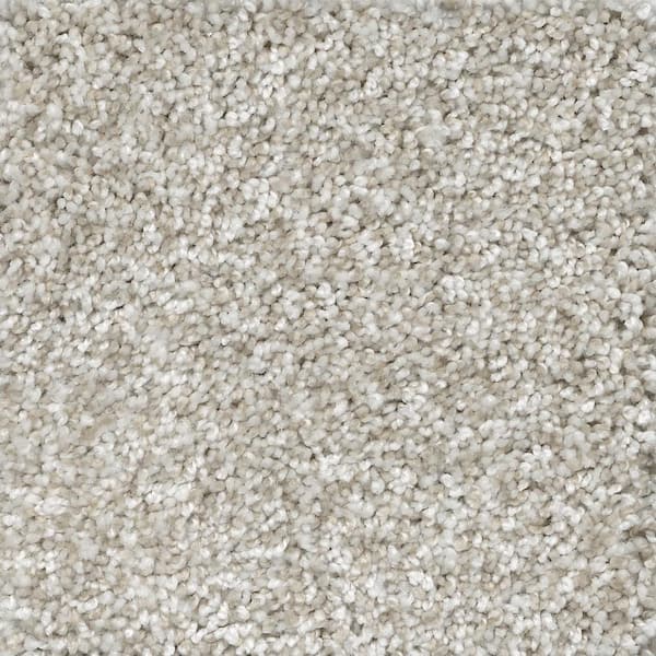 Reviews For Home Decorators Collection 8 In X Texture Carpet Sample Trendy Threads Ii Color Chic Pg 1 The Depot - Home Depot Decorators Collection Carpet Reviews