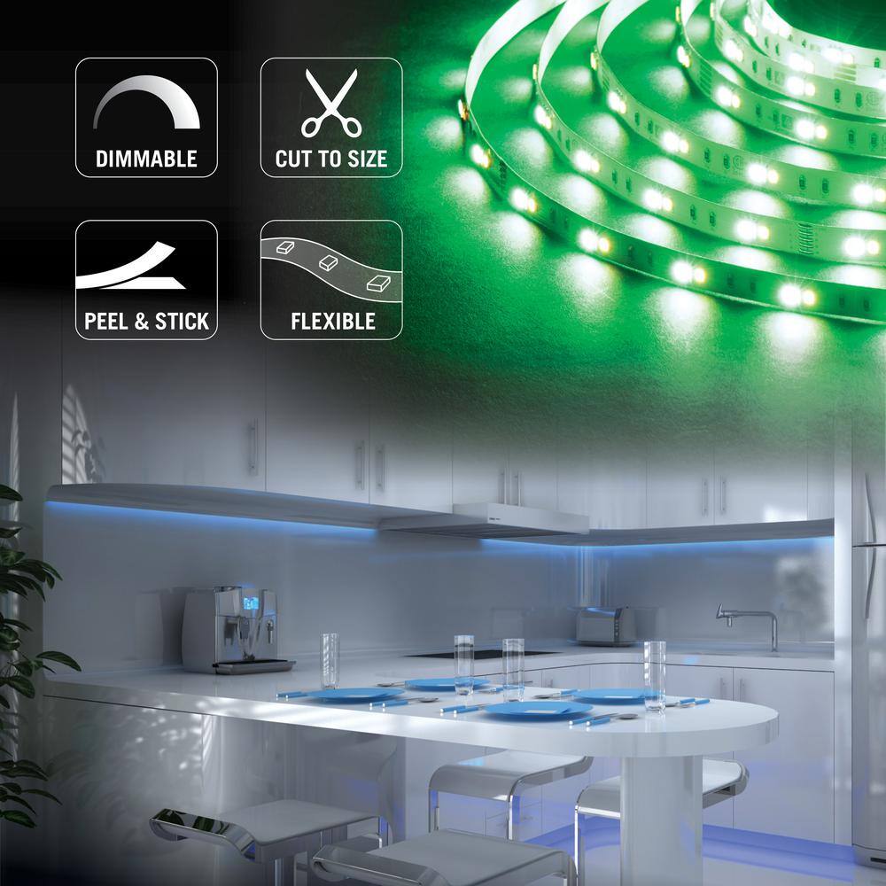 RibbonFlex Pro 24V RGB+W LED Tape Light with Remote
