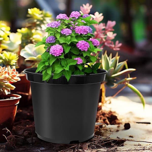 12 qt. Black Plastic Indoor/Outdoor Planter (9.84 in. W x 7.87 in