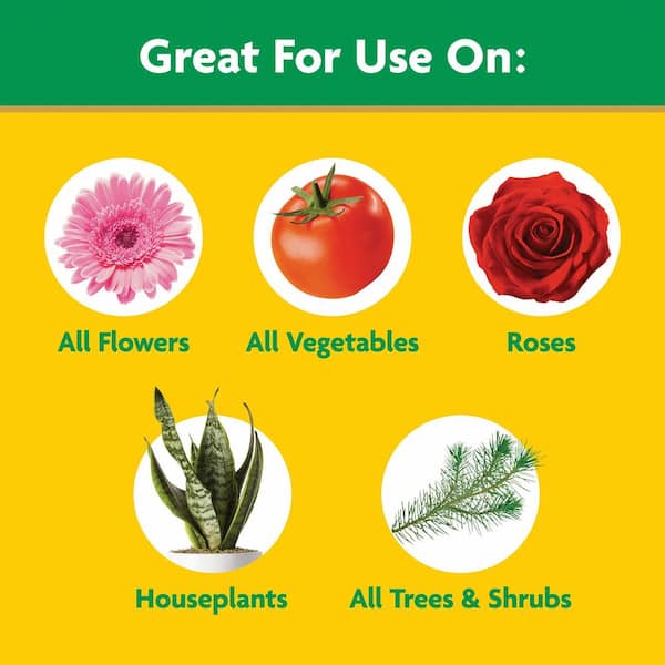 Water-Soluble All-Purpose Plant Food, Feed Flowers, Vegetables, Roses, Shrubs, and Houseplants, 5.5 lb.