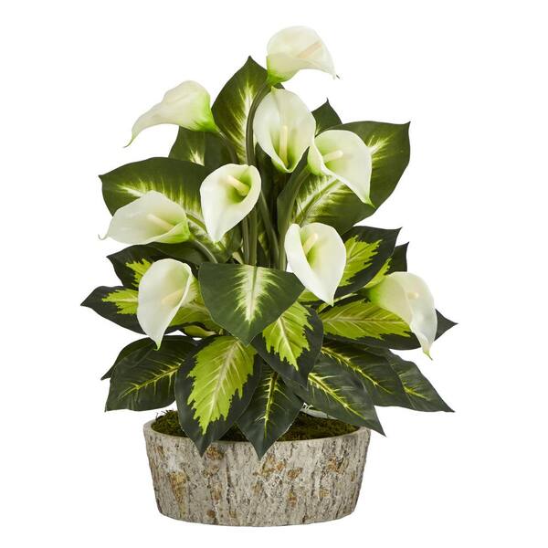 Nearly Natural 19 In Calla Lily And Golden Dieffenbachia Artificial Plant In Weathered Oak Planter P1352 The Home Depot