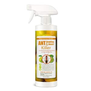 Ant Insect Killer/Repellent by EcoRaider 16 oz., Instant Kill, 4-Week Deterrence, Plant-Based, Child/Pet-Safe