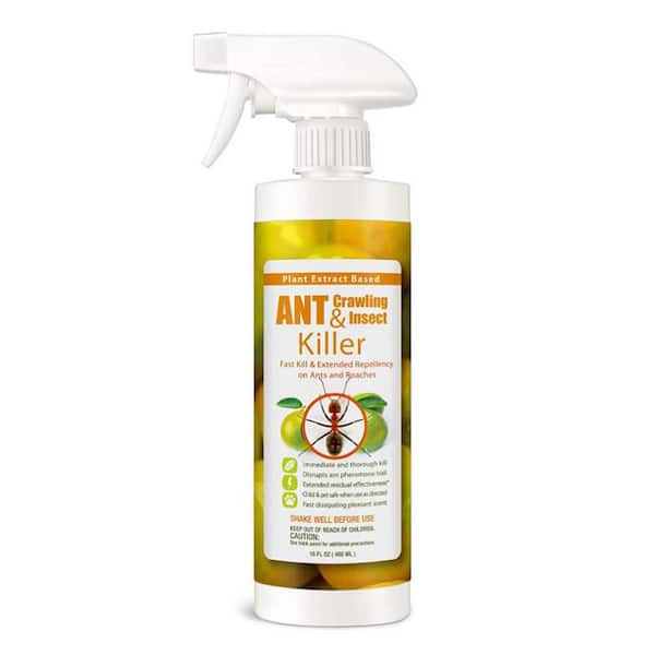 ECOVENGER Ant Insect Killer/Repellent by EcoRaider 16 oz., Instant Kill, 4-Week Deterrence, Plant-Based, Child/Pet-Safe
