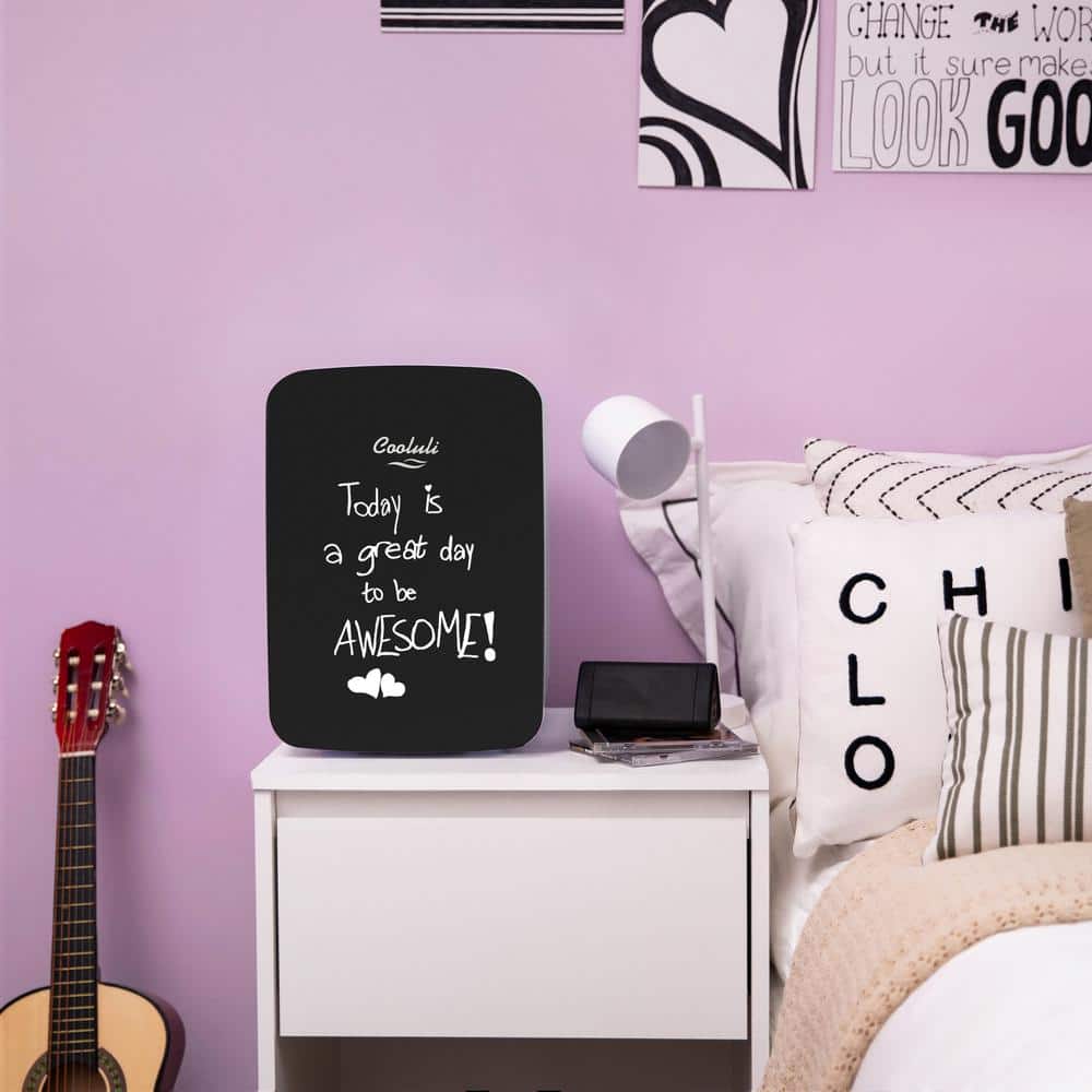 Compact Black Portable Mini Fridge with Smooth Door