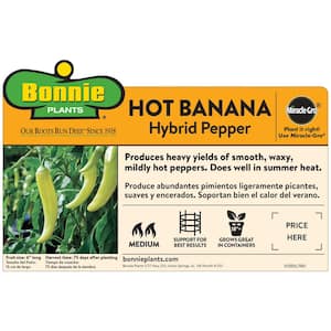 2.32 qt. Hot Banana Pepper Plant