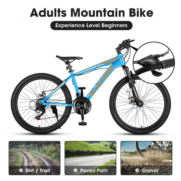 Boys blue mountain online bike