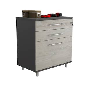 KRATOS 31.5 in. W x 35.4 in. H x 19.7 in. D Garage Storage Freestanding Cabinet in Chantilly/Dark Gray