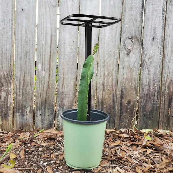 white plant stand indoor White Ceramic Pot with Wooden Stand - Planter with Stand for Indoor Plants