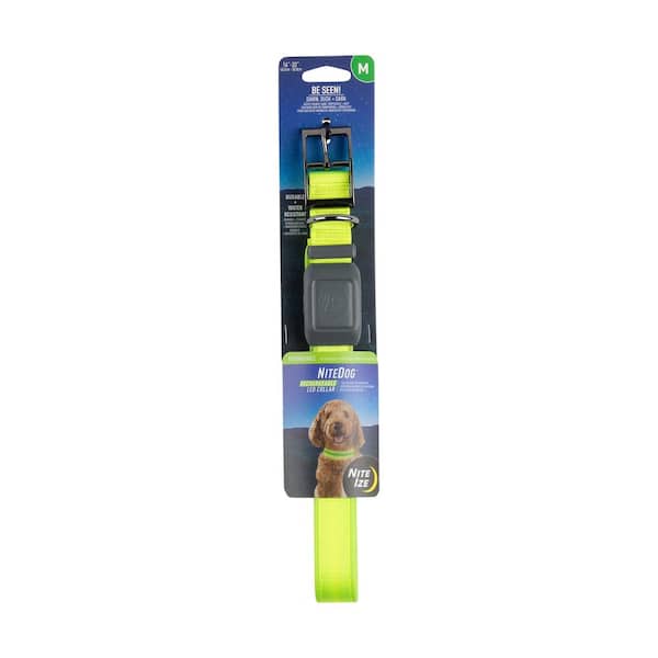 NiteDog - M - Lime/Green Rechargeable LED Collar