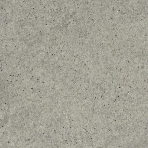 STONEMARK 3 in. x 3 in. Granite Countertop Sample in Saddle White