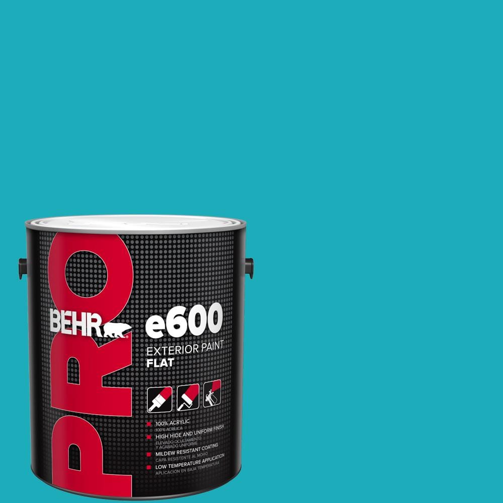 1 gal. #P470-5 Placid Sea Flat Exterior Paint price history on PriceWatchPro