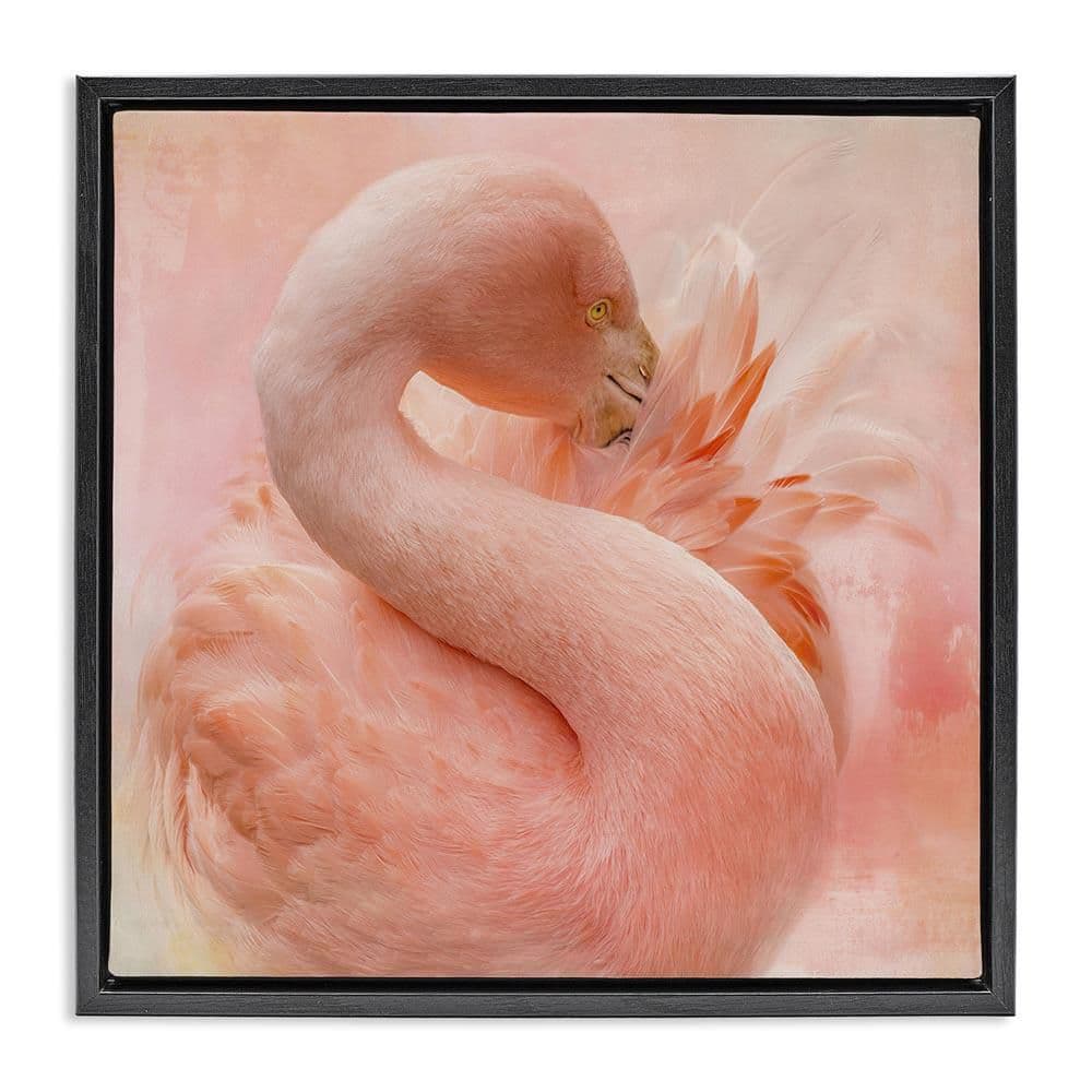 Stupell Industries Cocoon of Plumage by Kelley Parker Black