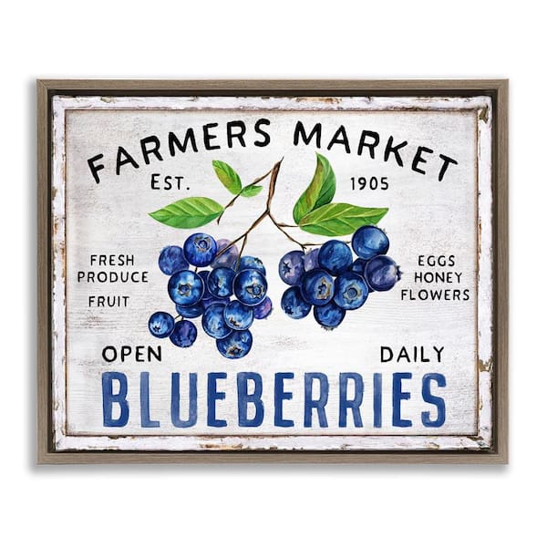 Stupell Industries Farmers Market Blueberries by Creatif Belle Brown Floater Frame Food Graphic Art Print 25 in. x 31 in.