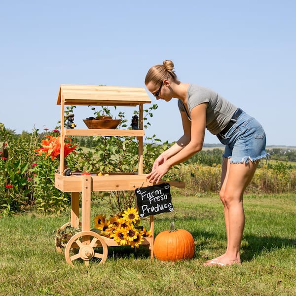 Sunnydaze Country Market 21.75 in. L x 33.75 in. W x 49.25 in. H