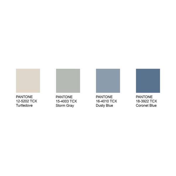 Pantone Smart Swatch 16-4010 Dusty Blue