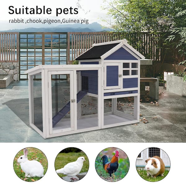 Blue Wooden Chicken Coop Hen House Rabbit Wood Hutch Poultry Cage