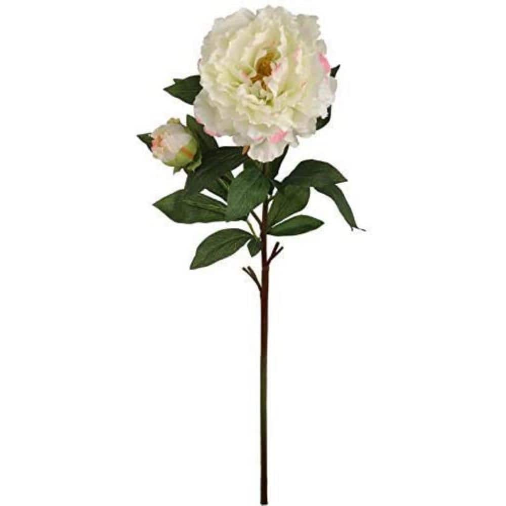 Larksilk 30 in. Artificial Cream Pink Silk Peony Stem 6Pieces, Floral