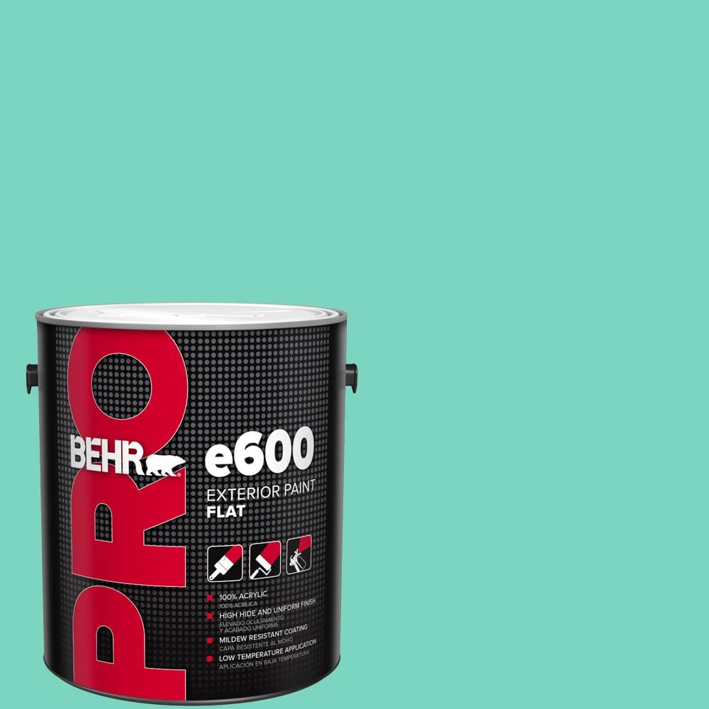 1 gal. #P430-3 Green Parakeet Flat Paint price history on PriceWatchPro