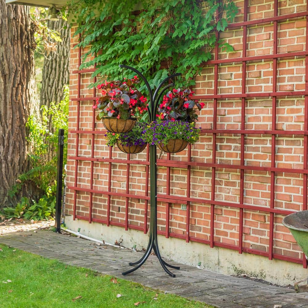 Black Metal 4-Arm Tree with Hanging Baskets