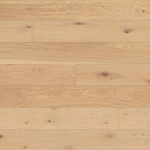 Sandy Shores Oak 3/8 in. T x 7in. W Tongue and Groove Engineered Hardwood Flooring (23.37 sq. ft./case)
