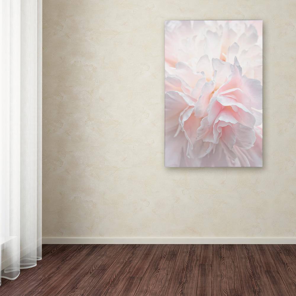 Large Pale Pink Peony Petals Abstract Canvas Art