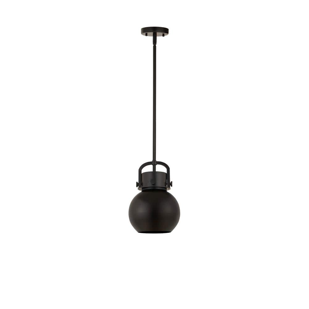 Matte Black Globe Indoor/Outdoor Pendant Light