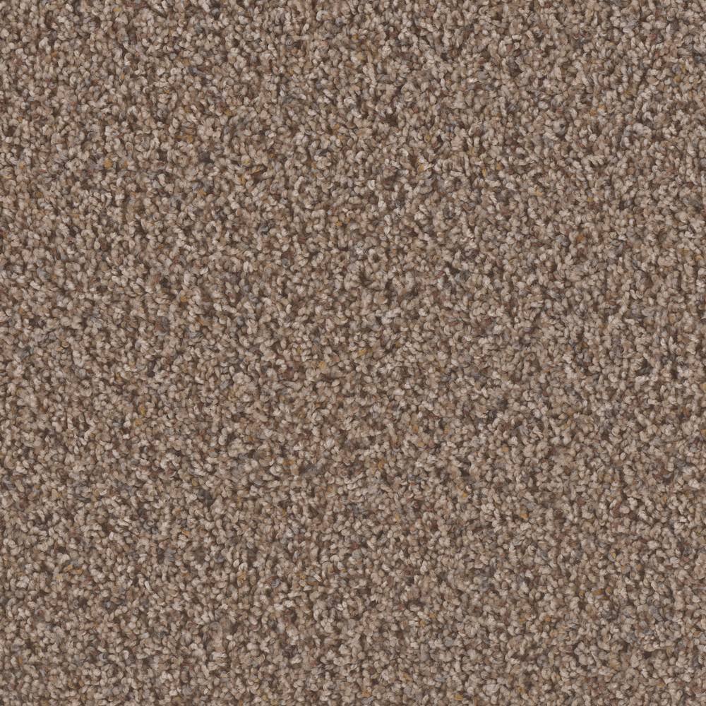 8 in. x  8 in. Texture Carpet Sample - Dream Wish -Color Endeavor price history on PriceWatchPro