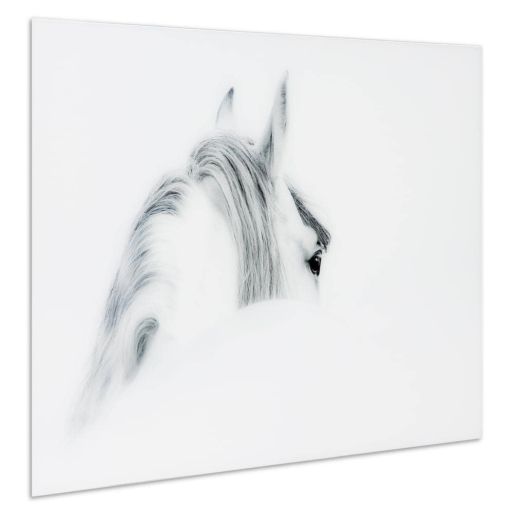 Blanco Mare Horse Frameless Tempered Glass Wall Art, 48" x 32"