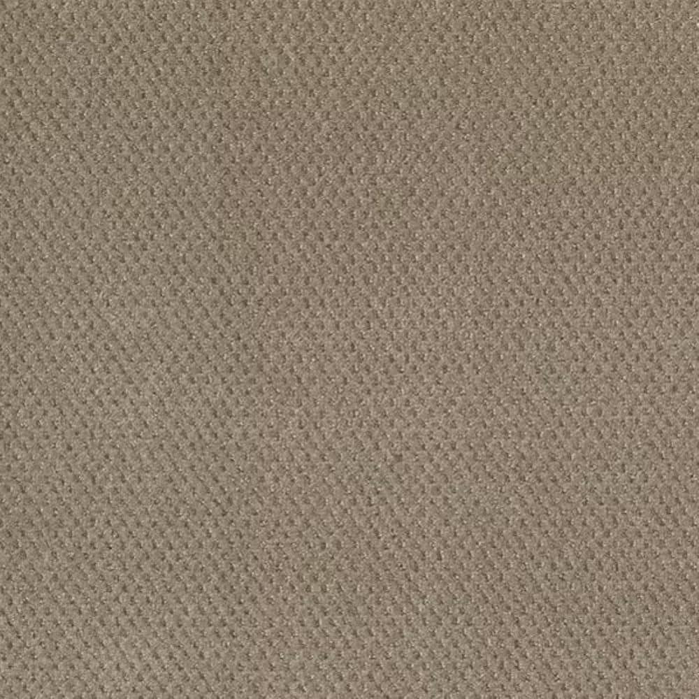 8 in. x 8 in. Pattern Carpet Sample-Fretboard-Color Ambient price history on PriceWatchPro