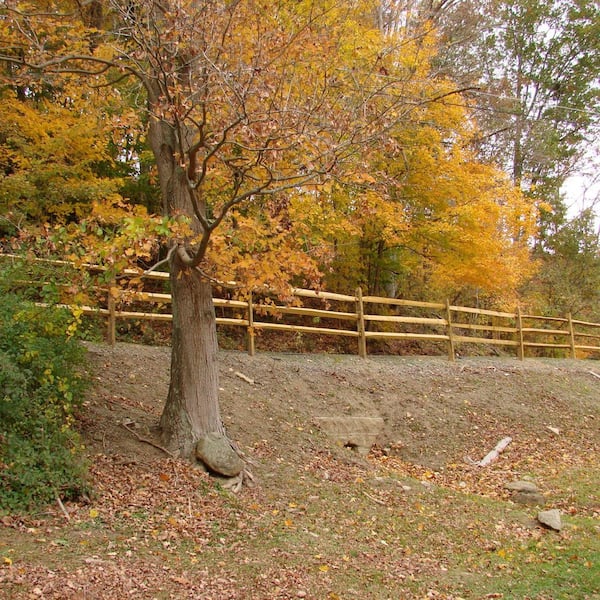 3 in. x 4 in. x 11 ft. Pressure-Treated Pine Wood Split Rail