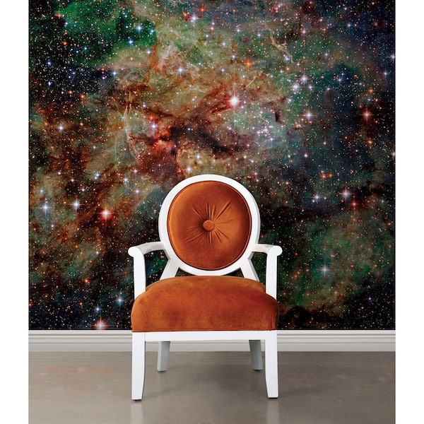 National Geographic 72 in. H x 72 in. W Nebula Wall Mural