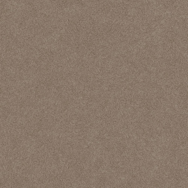 Lifeproof Coastal Charm I - Color Espresso Brown 42 oz. Nylon Texture Installed Carpet
